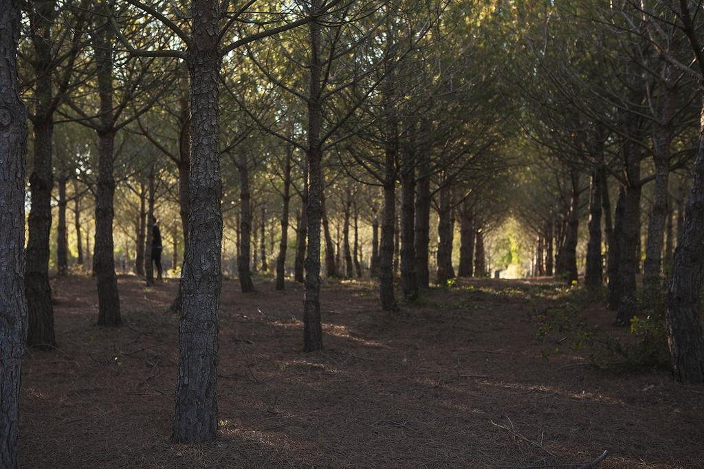 Chateau De La Motte - Entre Narbonne Et Le Canal Du Midi Marcorignan Экстерьер фото